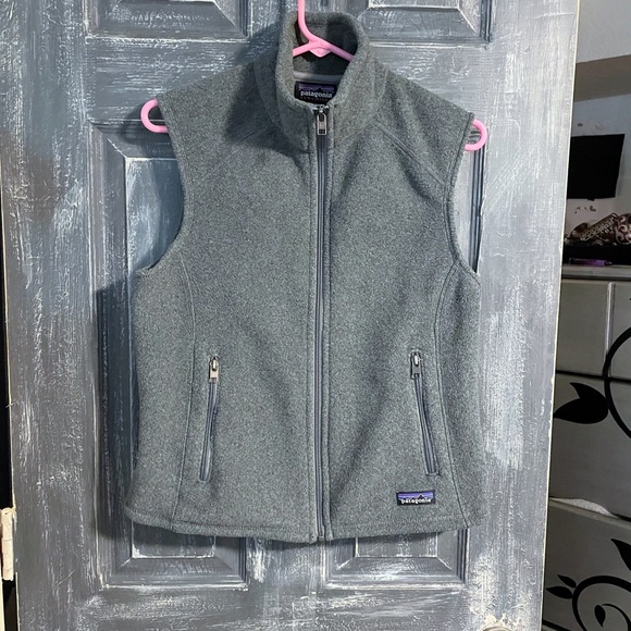 Patagonia Jackets & Blazers - Patagonia synchilla vest size small